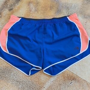 The North Face | Blue and Neon Pink Athletic Shorts Size XL
